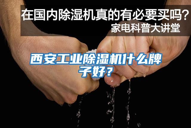 西安工業(yè)除濕機什么牌子好？