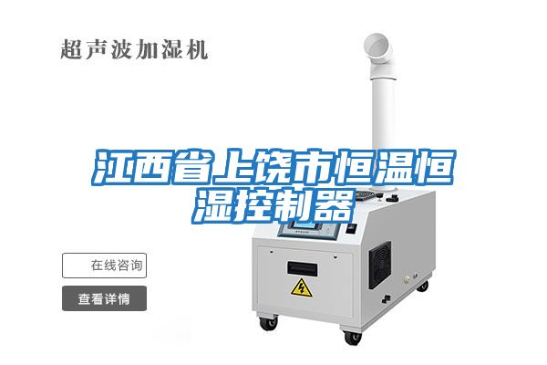 江西省上饒市恒溫恒濕控制器