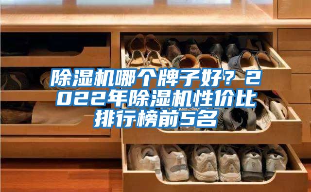 除濕機哪個牌子好？2022年除濕機性價比排行榜前5名