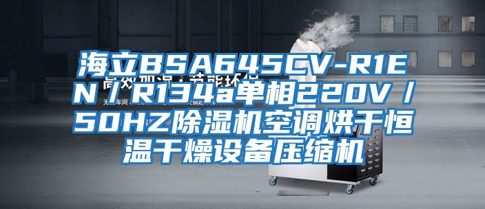 海立BSA645CV-R1EN／R134a單相220V／50HZ除濕機空調烘干恒溫干燥設備壓縮機