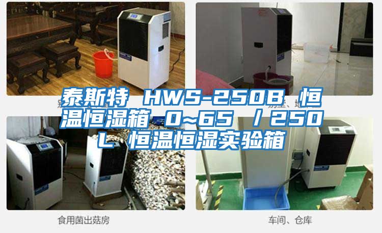 泰斯特 HWS-250B 恒溫恒濕箱 0~65℃／250L 恒溫恒濕實驗箱