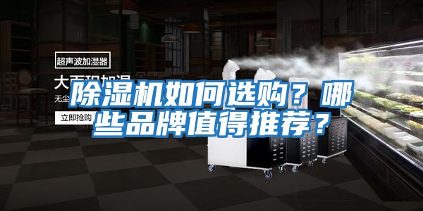 除濕機(jī)如何選購？哪些品牌值得推薦？