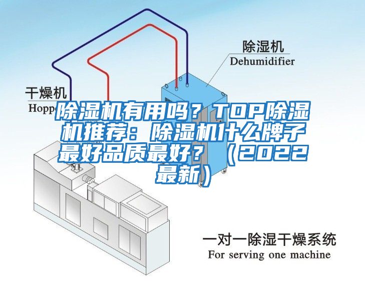 除濕機(jī)有用嗎？TOP除濕機(jī)推薦：除濕機(jī)什么牌子最好品質(zhì)最好？（2022最新）