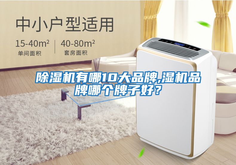 除濕機有哪10大品牌,濕機品牌哪個牌子好？