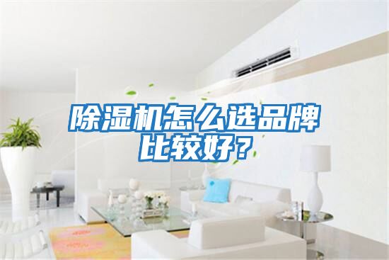 除濕機(jī)怎么選品牌比較好？