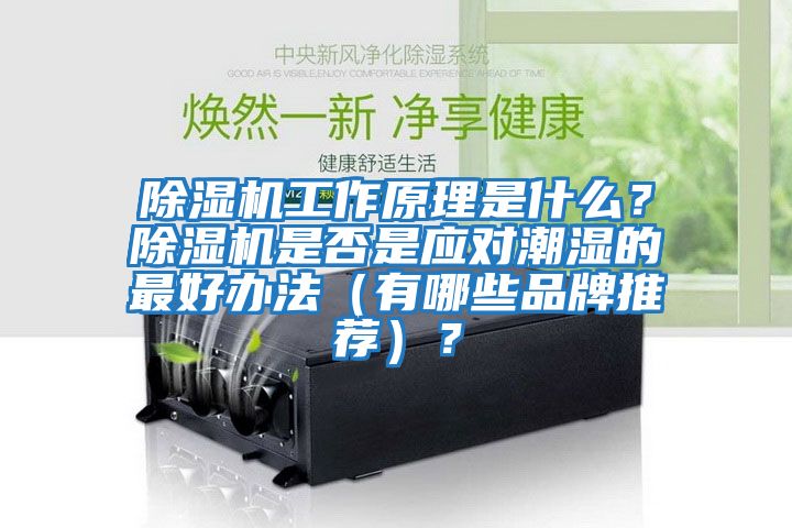 除濕機(jī)工作原理是什么？除濕機(jī)是否是應(yīng)對潮濕的最好辦法（有哪些品牌推薦）？