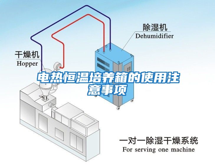 電熱恒溫培養(yǎng)箱的使用注意事項