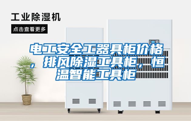 電工安全工器具柜價格，排風(fēng)除濕工具柜，恒溫智能工具柜