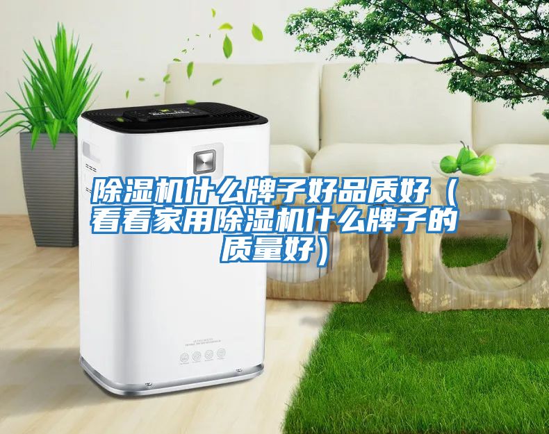 除濕機(jī)什么牌子好品質(zhì)好（看看家用除濕機(jī)什么牌子的質(zhì)量好）