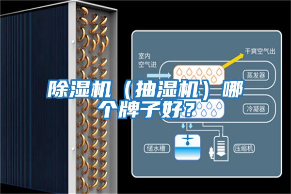 除濕機(jī)（抽濕機(jī)）哪個牌子好？