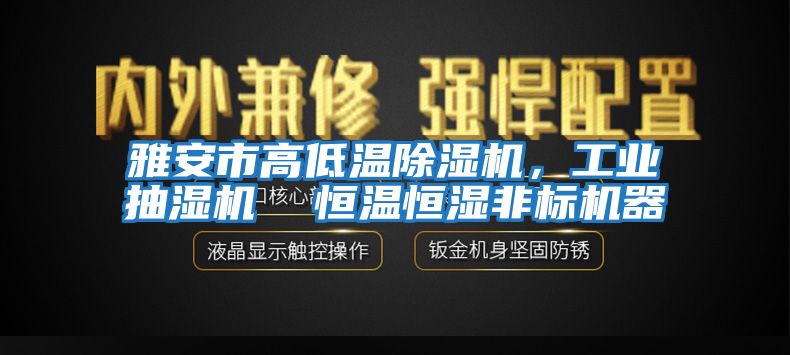 雅安市高低溫除濕機(jī)，工業(yè)抽濕機(jī)  恒溫恒濕非標(biāo)機(jī)器