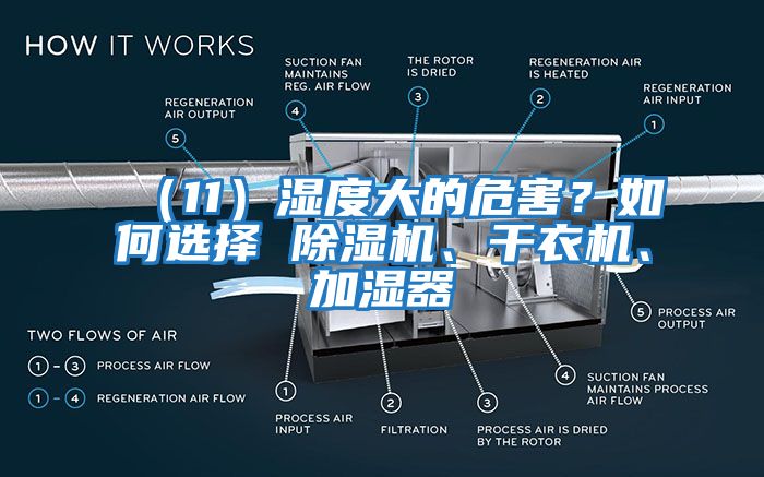 （11）濕度大的危害？如何選擇 除濕機(jī)、干衣機(jī)、加濕器