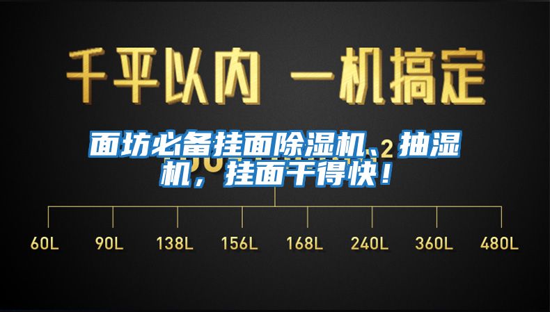 面坊必備掛面除濕機(jī)、抽濕機(jī)，掛面干得快！