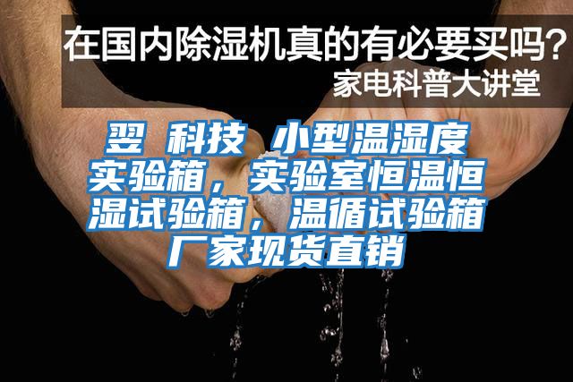 翌昇科技 小型溫濕度實驗箱，實驗室恒溫恒濕試驗箱，溫循試驗箱廠家現(xiàn)貨直銷